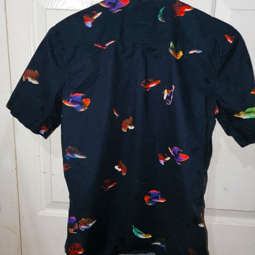 Button up vans